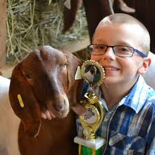 2018 Lorain Co Fair student project review