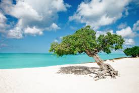 It is 30 km (19.6 miles) long and 9 km (6 miles) across at its widest point giving it an area of approximately 70 mi² (184 km²). 8 Fun Experiences You Need To Have In The Caribbean Island Of Aruba Hand Luggage Only Travel Food Photography Blog
