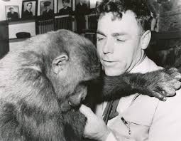 Ray Lowman and 72 lb. King, at his Dad's cannery, 1917 — Bill Mitchell  Mural Project