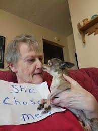 Give her a name and take her home ❤️❤️❤️❤️💕