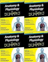 Anatomy And Physiology For Dummies Pdf For Free Download Anatomy And Physiology Physiology Anatomy