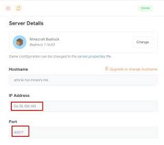 As mentioned above, the default minecraft port number required on pc is 25565. How To Make A Minecraft Server For Free 100 Working 2021