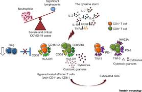 Sars was first reported in asia in february 2003. T Cells Warriors Of Sars Cov 2 Infection Trends In Immunology