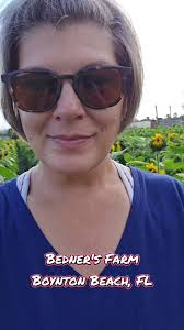 West Palm Beach Sunflower Field