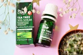 Bir çay kaşığı hindistan cevizi yağı ile bir damla çay ağacı yağı karıştırılır. Farmasi Cay Agaci Yagi Incelemesi Farmasi Katalogu Papatya Aski