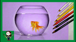Goldfish 36 color pencils with tin box casing. Realistic Drawing Of A Fish In A Bowl With Colored Pencils Youtube