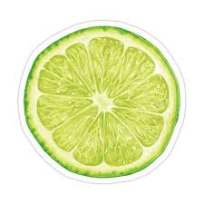 Die zeitmesser der limes endurance kollektion halten, was ihr markantes profil verspricht. Lime Slice Sticker By Daddylongarms In 2021 Fruits Drawing Fruit Illustration Watercolor Fruit