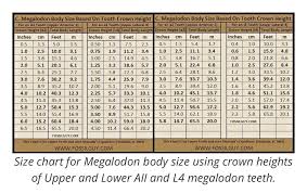 Gourmet Mexican Recipes Megalodon Tooth Size Chart