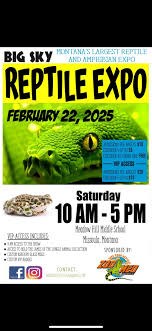 My wife and I recently lost our bearded dragon. He lived a long happy life  but we don't want to get another one. We have two massive colonies of bugs.  One dubia