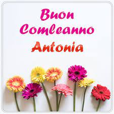 Immagini Buon Compleanno Antonia Immagini