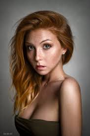 Dave Willems Photography