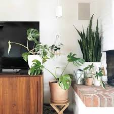 Aspect Led Growlight Soltech Solutions White Plants Plant Lighting Interior Design Inspiration