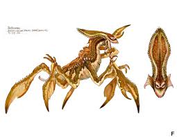 Tumblr Nn2kw1ph2m1s6w6foo1 1280 Jpg 1280 989 Star Wars Darth Bane Star Wars Episode Ii