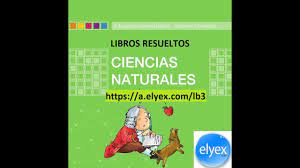 Ciencias naturales 5 ciencias naturales 5 grado, bгўsica, primaria. Libros De Ciencias Naturales Resueltos Mineduc Youtube