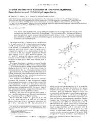 Image result for Synadenium pereskiifolium