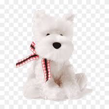 West Highland White Terrier Scottish Terrier Soft Coated Wheaten Terrier Puppy Skye Terrier Puppy White Animals Carnivoran Png Pngwing