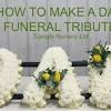 What to write on funeral flowers. Https Encrypted Tbn0 Gstatic Com Images Q Tbn And9gcss3kaeosmk9dc1sgjyuofz5znaaz8zth73bjemo E9lbnyw0 7 Usqp Cau