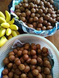 Panaskan minyak secukupnya, goreng cekodok pisang hingga matang kecokelatan. Cekodok Pisang Bulat Bulat Nak Cantik Kejadiannya Inilah Caranya Mingguan Wanita