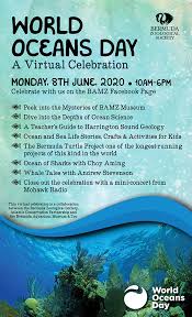 61 photos et 16 vidéos enregistrées par lisa. Bzs Virtual World Oceans Day Celebration Bernews