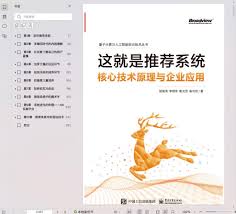 这就是推荐系统：核心技术原理与企业应用pdf电子书[112MB]下载-码 ...