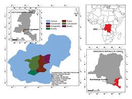 Image result for Bridelia duvigneaudii