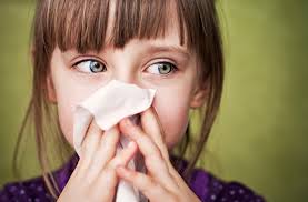 Image result for Allergic Rhinitis