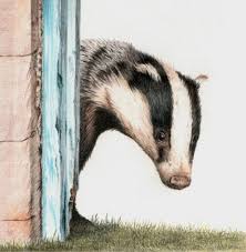 Peek A Boo Pencil Drawings Of Animals Badger Print Shop Ideas