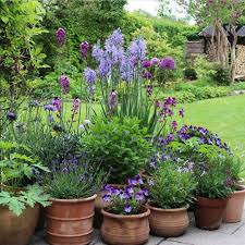 Roman And Ivy On Instagram Have02 Containergardening Containergarden Pott In 2020 Small Backyard Landscaping Garden Containers Backyard Landscaping Designs