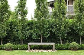 3 Spiritual Clever Ideas Backyard Garden Layout Planters Zen Backyard Garden Simple Backyard Garden Fence P Hedges Landscaping Garden Hedges Australian Garden