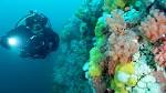 Buoyancy compensator (diving) - , the free encyclopedia