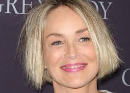 Sharon vonne stone (born march 10, 1958) is an american actress, producer, and former fashion model. Sharon Stone 63 Years Of Innate Beauty Instinct World Stock Market