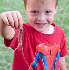 Why is my golf cart not moving after installing new batteries and system?