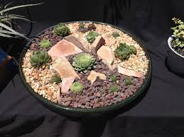 Pin On Succulent Centerpieces