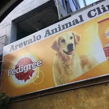 Maybe you would like to learn more about one of these? Animal Clinic Kapitolyo 10 Tips From 230 Visitors