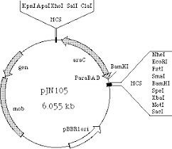 NBRP E.coli Strain