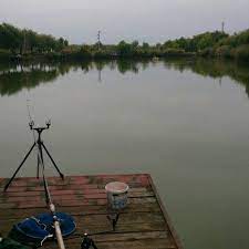 Ponty, amur, csuka, süllő, harcsa, keszeg, kárász, busa, sügér. Fishngo Aranyhal Horgaszto A To Gyor Gyirmot Nevu Facebook