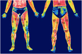 * requests for copies of bids will be mailed via regular mail by the next business day. Infrared Thermography Protocol On Reducing The Incidence Of Soccer Injuries In Journal Of Sport Rehabilitation Volume 29 Issue 8 2020