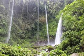 Maybe you would like to learn more about one of these? Wisata Alam Air Terjun Tekaan Telu Regesan Tinoor Tomohon Aneka Wisata Nusantara