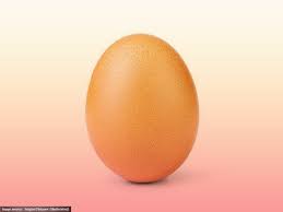 Arkeolog menunjukkan telur ayam berusia 1.000 tahun yang ditemukan selama penggalian di kota. Fotografer Telur Yang Lagi Viral Nggak Nyangka Bisa Begini