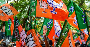 Bjp Is Clashing With Kollywood Heroes Like Surya Vijay Kamal Hassan And Ajith Metrosaga Alpha coders fan clubs flags. surya vijay kamal hassan and ajith