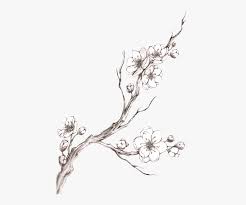 Black And White Silhouette Cherry Blossom Tree Drawing Cherry Blossom Drawings Free Google Search Cherry Blossom Drawing Cherry Blossom Tree Silhouette