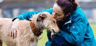 But where do you go to find your next best friend? Rehoming Pets Puppies Kittens Almost Free To A Good Home Blue Cross