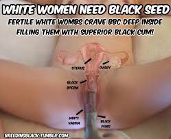 Black on white - Black Bred White Girls | MOTHERLESS.COM ™