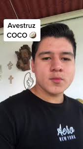 Avestruz Coco 🌴 🥥 #avestruz #fyp #viral #parati #CocoAvestruz