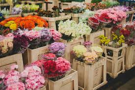 Just the lowest prices, everyday! How To Shop The La Flower Market