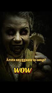 Elles Utemat är tillsammans med Sebastian Kirppu och Peter Persson med i en  fin serie som sänds på TV4 play Surfa in och kolla!♥️🌲  https://www.tv4play.se/program/fc09fb68ecc2168fceb7