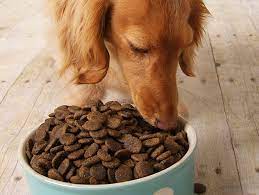 A large breed dog (up to 75 pounds) should eat up to 2 ½ cups of dry food per day. How Much Should You Feed Your Dog Petfinder