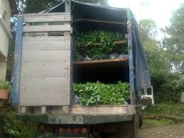 Find prayer time for san cayetano. Finca San Cayetano Facebook