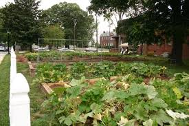Site sponsorship can be a tremendous asset. How To Organize A Community Garden Nc State Extension Publications