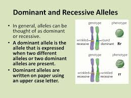 However, there are also situations of incomplete dominance and codominance. Traits Genes And Alleles Ppt Video Online Download